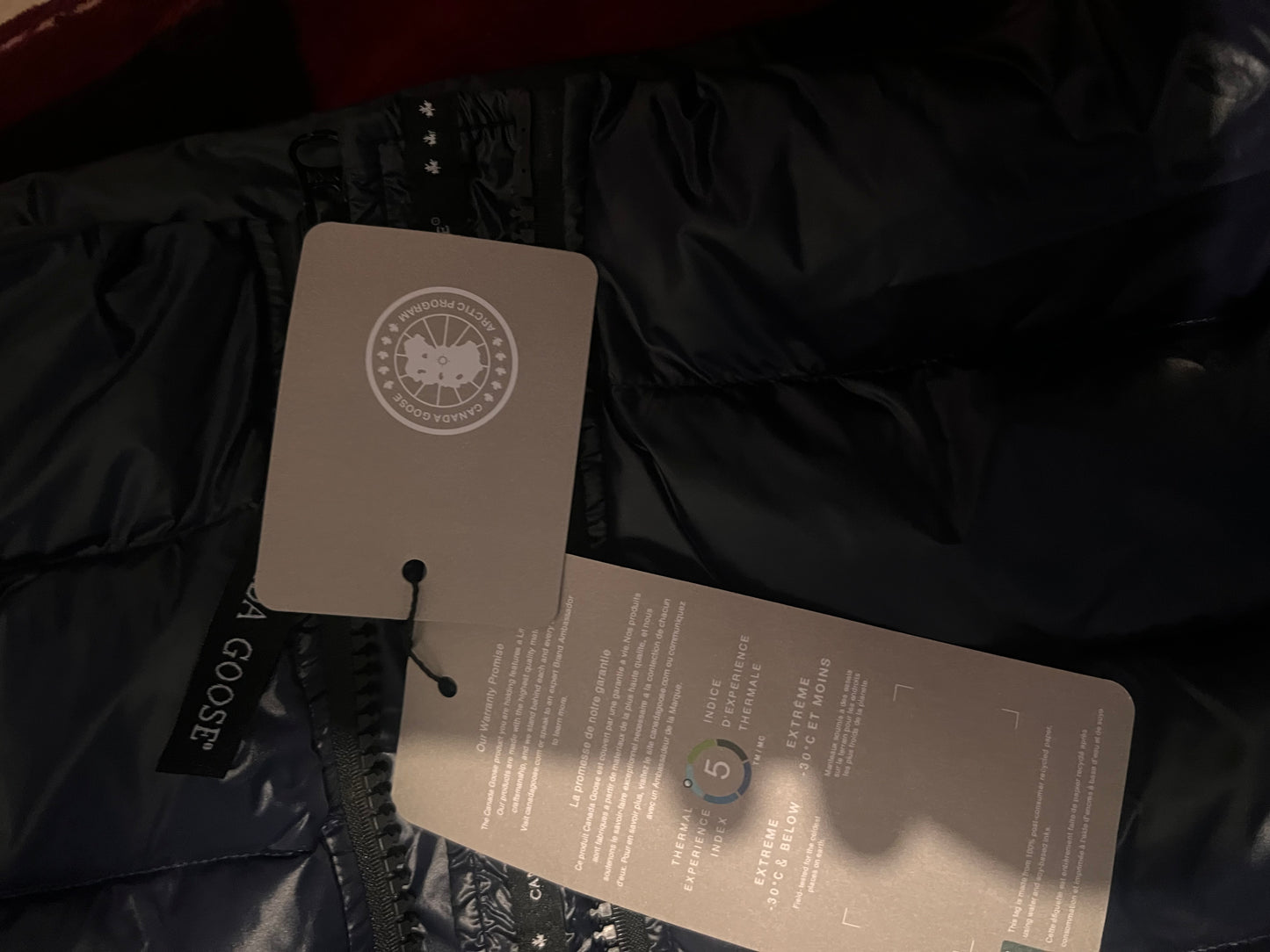 C Goose blue crofton